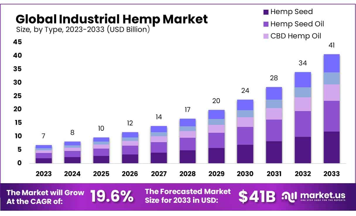 Bujne rośliny konopi rosną na polu bez pestycydów i chemii