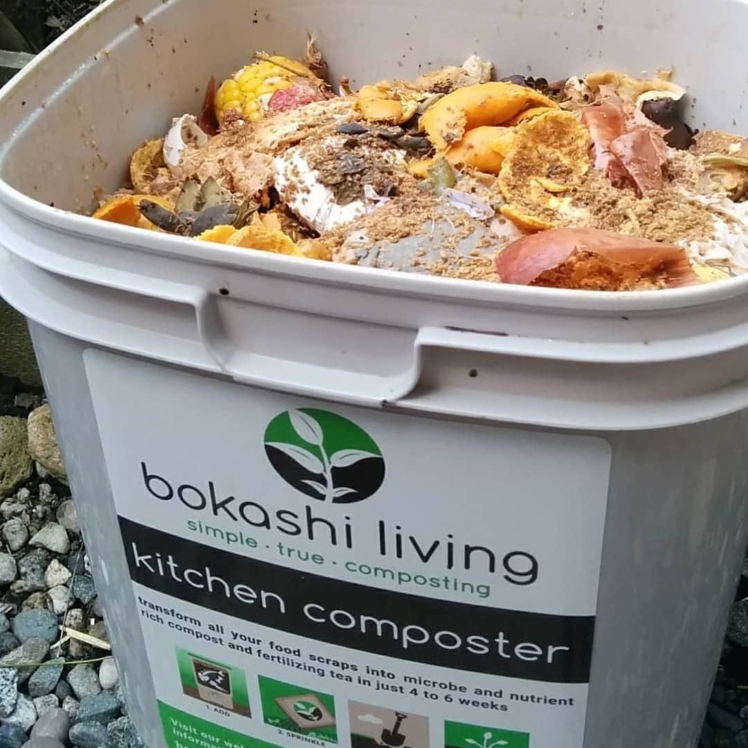 Wkomponowywanie bokashi w glebę do rozkładu Zakopywanie kompostu bokashi w ogrodowej grządce łopatą mieszającej z ziemią