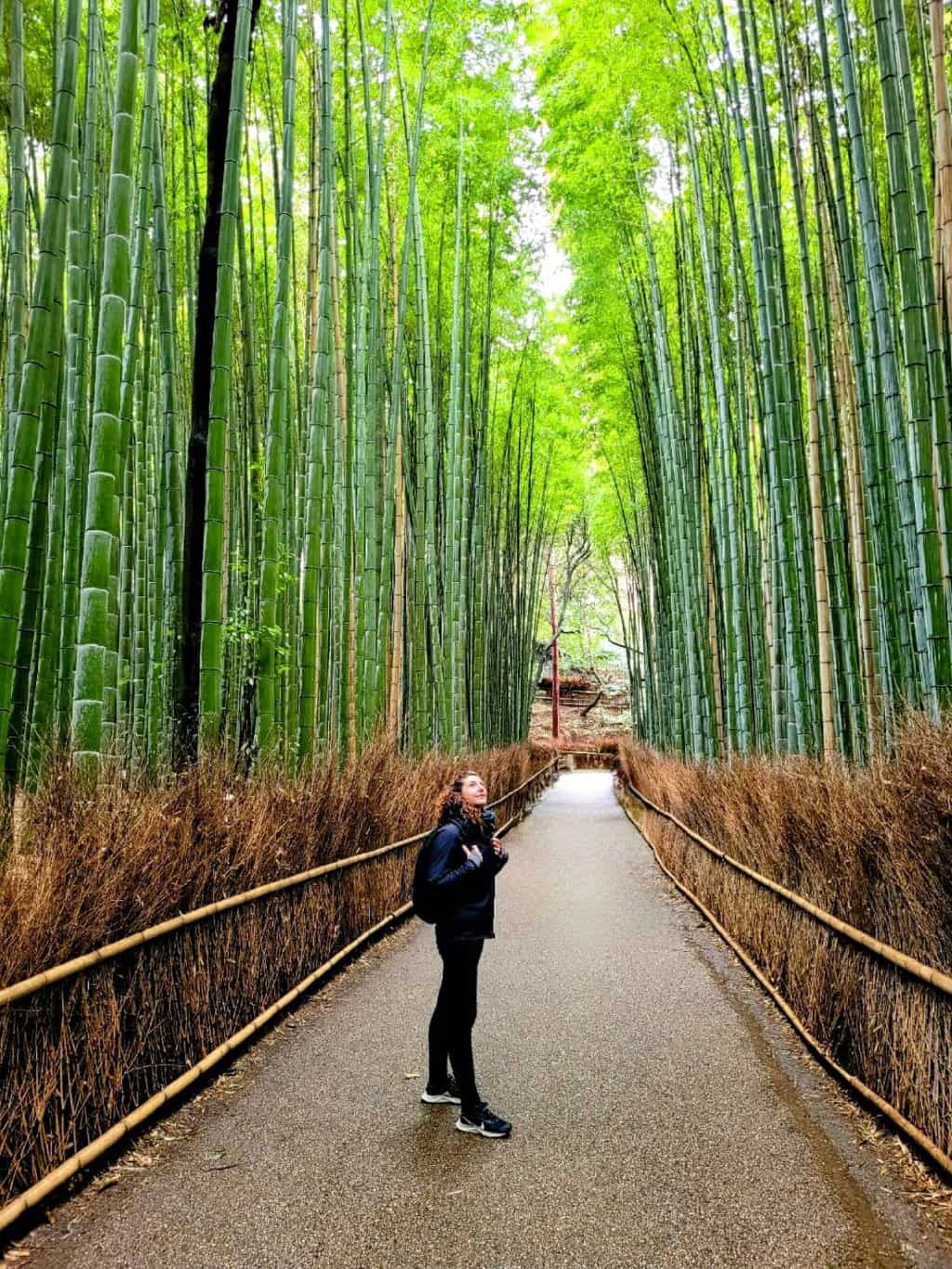 bambusowe deski ułożone w stosie obok tartaku w lesie
