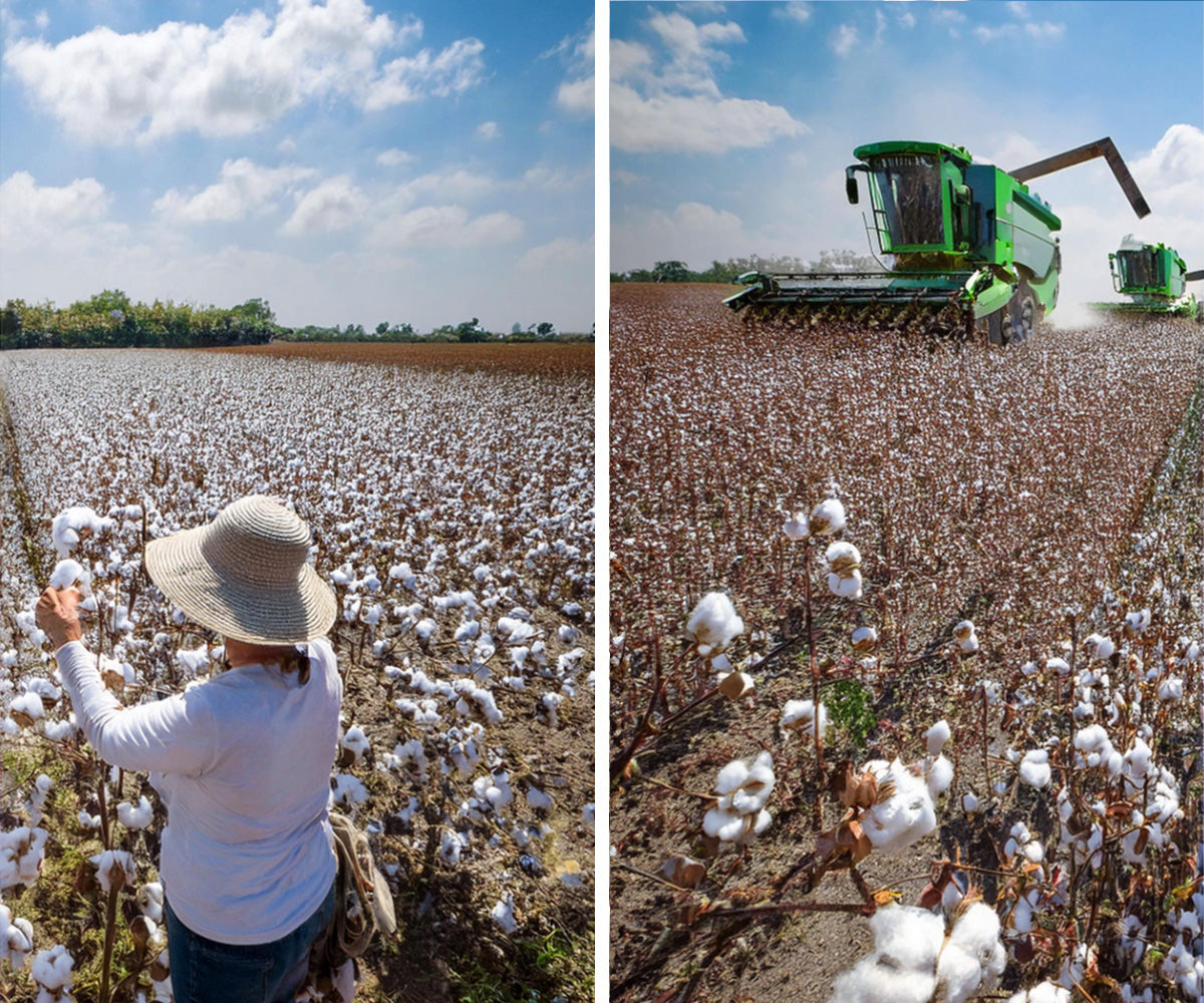 oszczednosc wody w produkcji eko bawelny